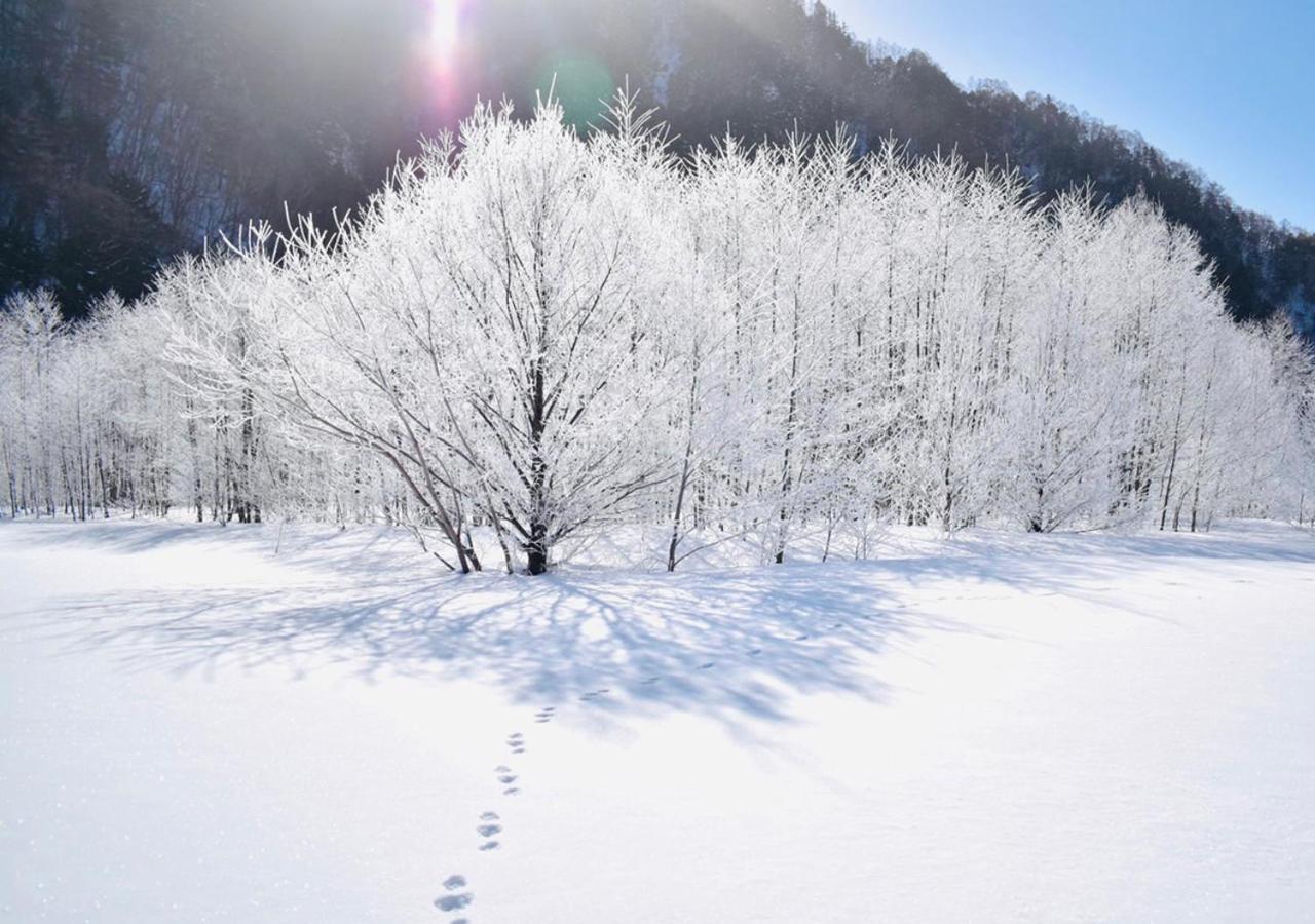 筋肉と自然と遊ぶ宿 田島館 Takayama  Extérieur photo